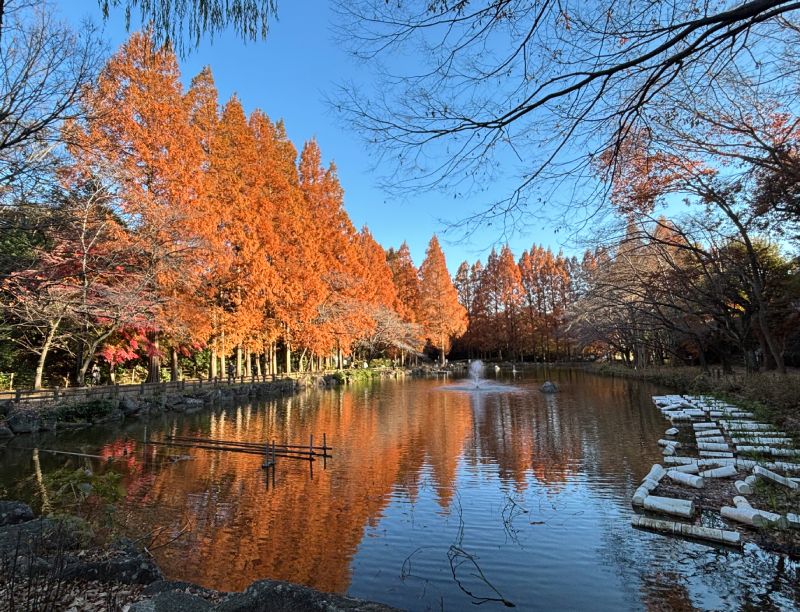 ダイハツ千葉 千葉のいろいろ 貝柄山公園